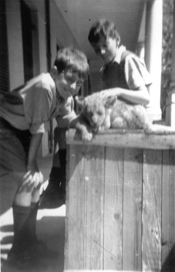 Albie and Johnny playing with a lion cub.